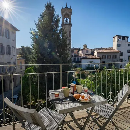 Solata 6 Exclusive *